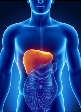 A liver transplant is an operation to remove a diseased or damaged liver from the body and replace it with a healthy one